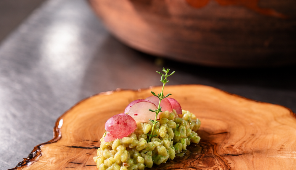 Versió contemporània del plat: blat lligat amb oli d’oliva verge extra Villalonga, a l’estil d’un risotto, sobre una rodanxa de tronc. Versió contemporània del plat: blat lligat amb oli d’oliva verge extra Villalonga, a l’estil d’un risotto, sobre una rodanxa de tronc.